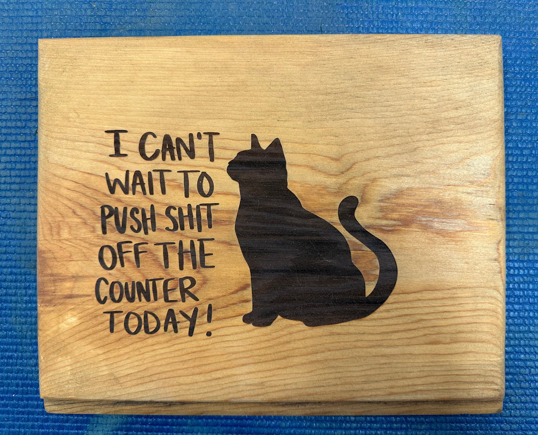 Cat can’t wait to push shit.